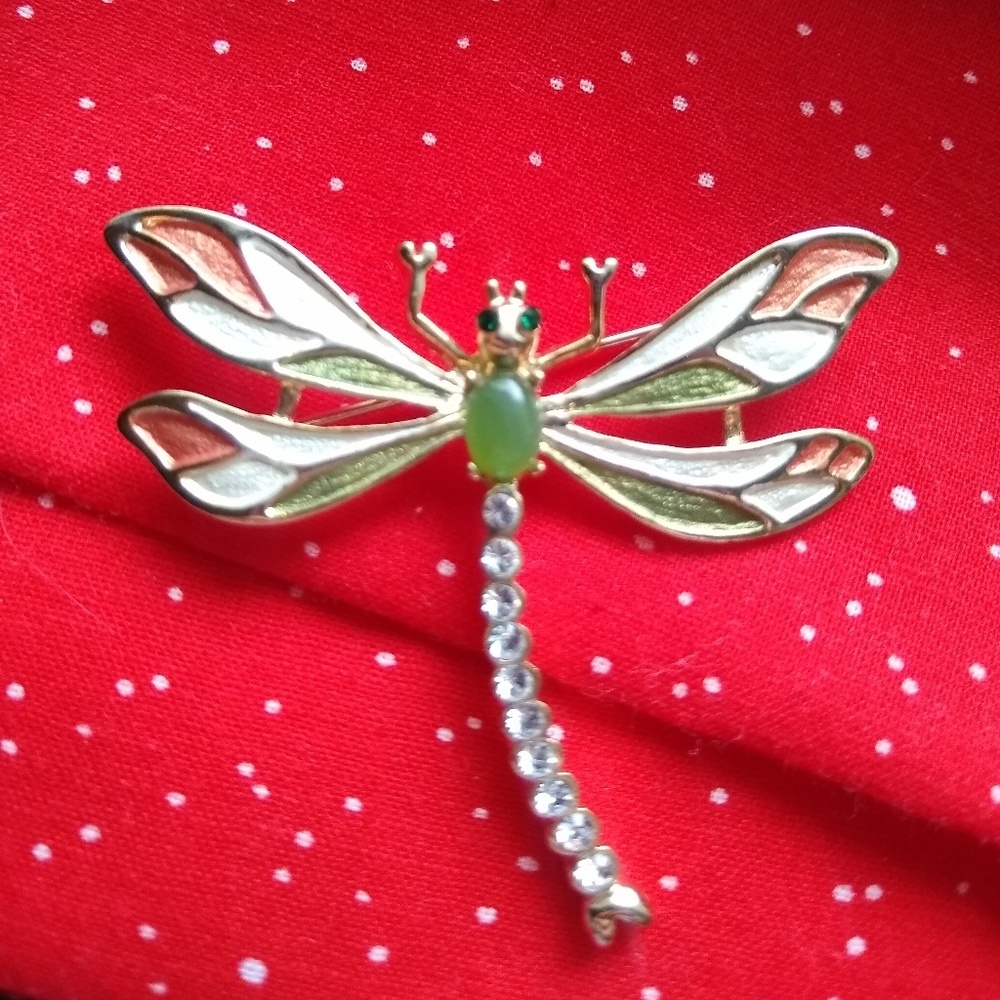 A dragonfly pin